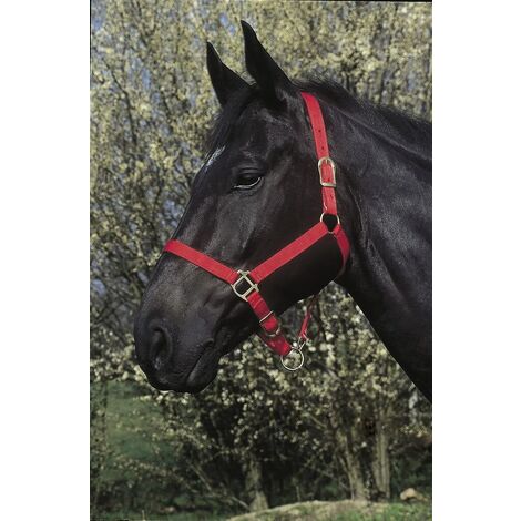 Licol double épaisseur rouge pour cheval – Têtière et muserolle réglables – Fermeture rapide par mousqueton – Composition polypropylène
