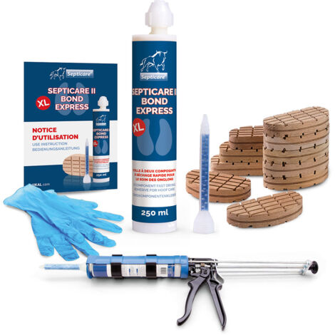 Kit SEPTICARE XL avec pistolet (1/3)