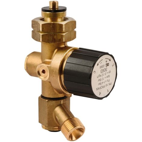 Adaptateur pour détendeur bouteille à gaz 13 kg (1/2)