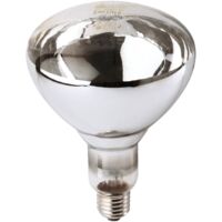 Ampoule halogène 250W à vis blanche – Culot E27 – Pour environnements difficiles – Durée de vie 5000 heures – Kerbl