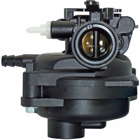 10 Migliori carburatore rasaerba briggs stratton In Italia