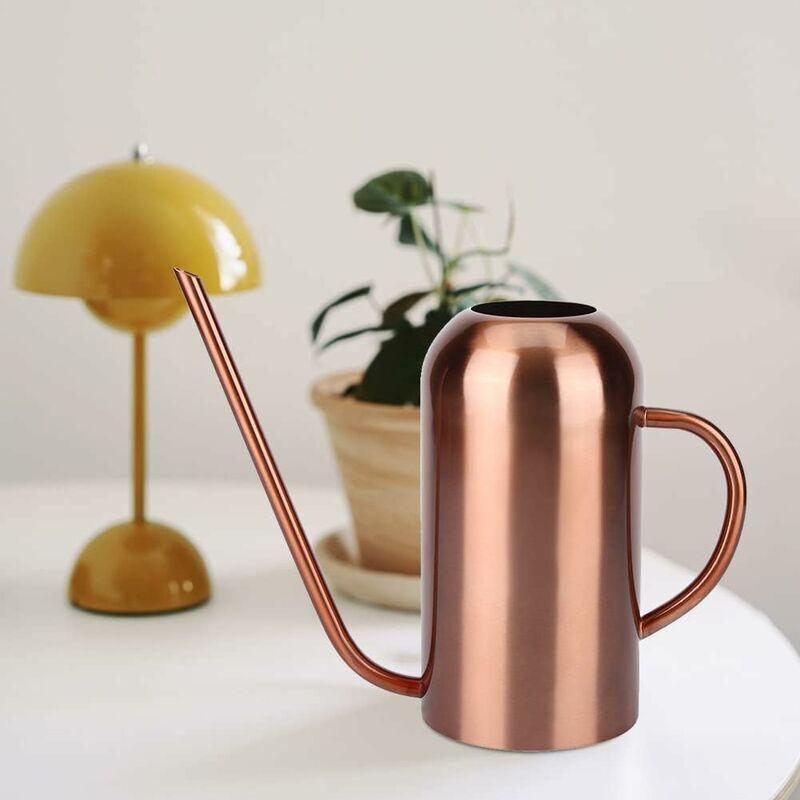 Arrosoir en Acier Inoxydable, 1,5 L Arrosoir pour Plantes Succulentes Rétro à Longue Bouche, Arrosoir en Acier Inoxydable pour Plantes d'Intérieur et d'Extérieur (Or Rose) 2