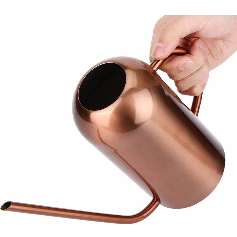 Arrosoir en Acier Inoxydable, 1,5 L Arrosoir pour Plantes Succulentes Rétro à Longue Bouche, Arrosoir en Acier Inoxydable pour Plantes d'Intérieur et d'Extérieur (Or Rose) 3