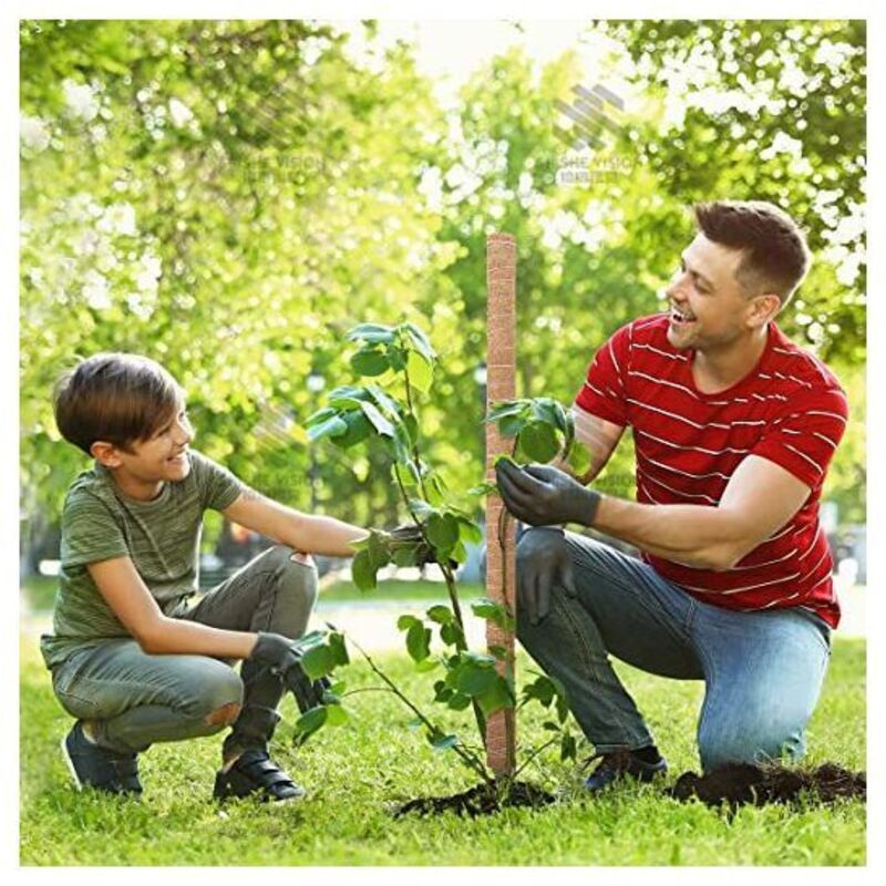 Lot De 10 Tuteurs Bambou 150 Cm – Supports Naturels Solides Pour Tomates, Concombres, Plantes Grimpantes Jardin Et Intérieur