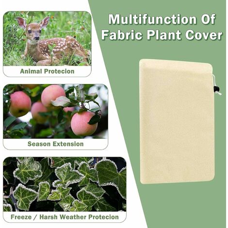 Housse D'hivernage Pour Plante, Épaissir Housse de Protection Pour Plantes  Ajustable avec Cordon de Serrage à Glissière, Voile Hivernage Protection  Contre Le Gel des Palmier et Olivier(80x100CM) : : Jardin