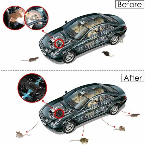 Répulsif anti-fouines pour véhicules SWISSINNO - répulsif contre les  fouines pour auto, décharge électrique + ultrasons