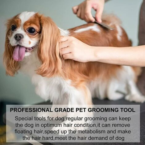 Couteau à Trimmer pour Main Droitier Couteau à dénuder Professionnel pour Chien avec Manche Ergonomique en Bois