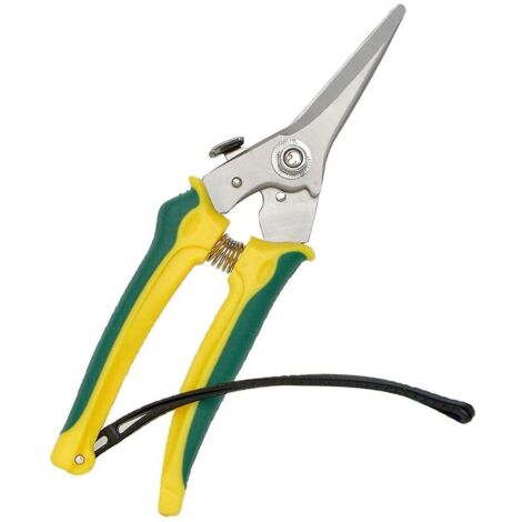 ANCIENNES CISAILLES DE Jardin Coupe-Haies Coupe-Buis EUR 32,00 - FR