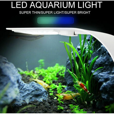 Lampe Aquarium Neon Aquarium Eclairage Aquarium LED Spot ÉClairage