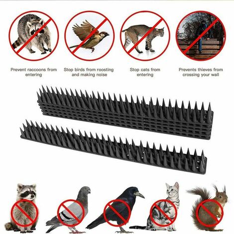 Pics Anti-Pigeons En Acier Inoxydable - 3 Mètres - Facile à Installer Sur Corniches, Toits, Fenêtres - Fabriqué En UE