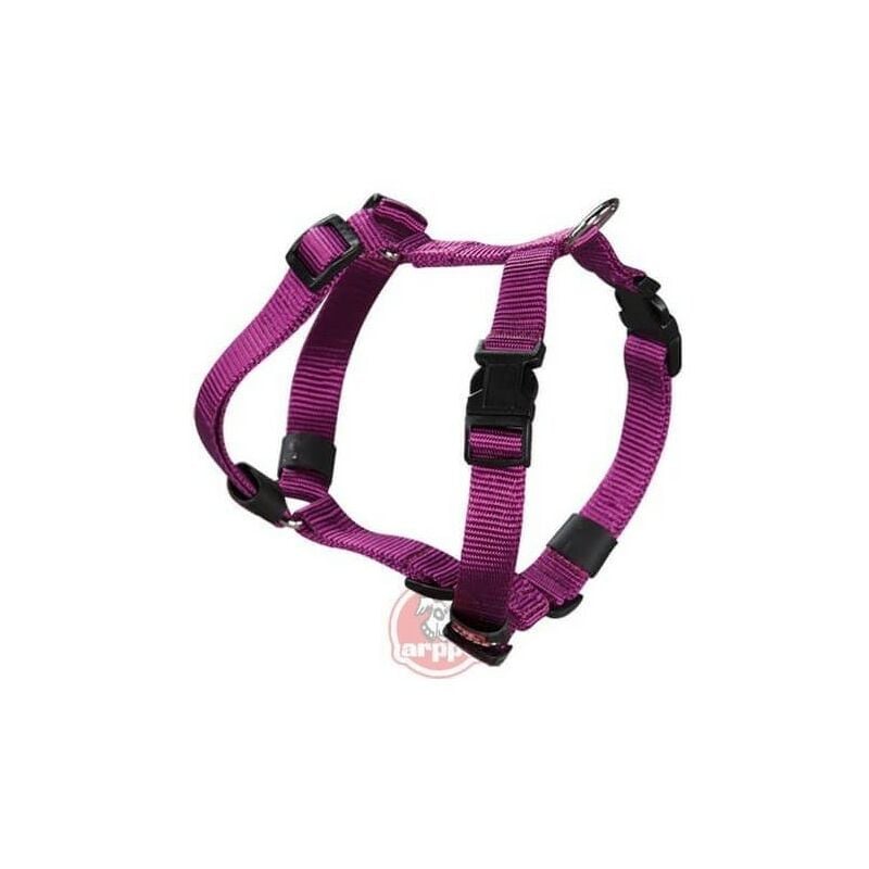 Arnes ARPPE Nylon Morado