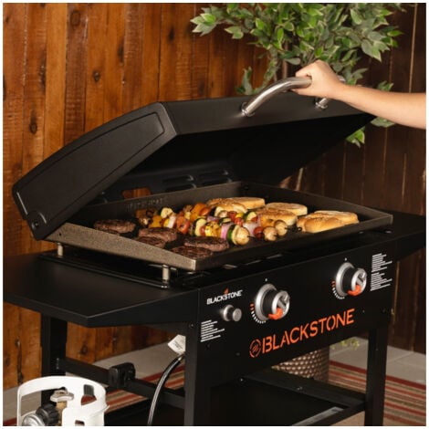 Soldbbq 71,1 Cm Coque Grill Et Plaque De Cuisson Pour