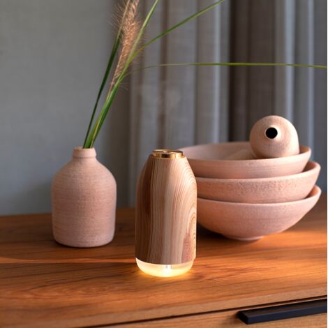 Humidificateur et diffuseur LIVOO DE122 (1/5)