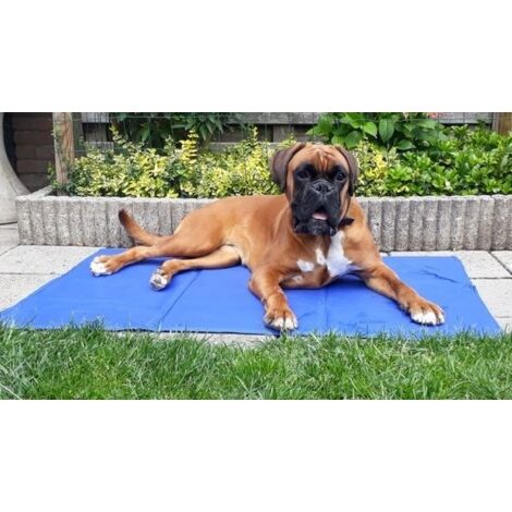 trixie Tapis rafraîchissant bleu 110x70 cm pour chien
