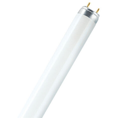 Osram – Lampe fluorescente T5 courte 8 W G5 – Blanc froid – Flux lumineux 430 lm – Pour éclairage intérieur efficace – Dimensions 28,83 cm (1/4)