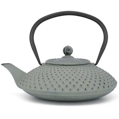 Bredemeijer Bouilloire plate de fonte Asia de 1,25 litres, vert clair, grande cruche à induction émaillée avec filtre de acier inoxydable (1/3)