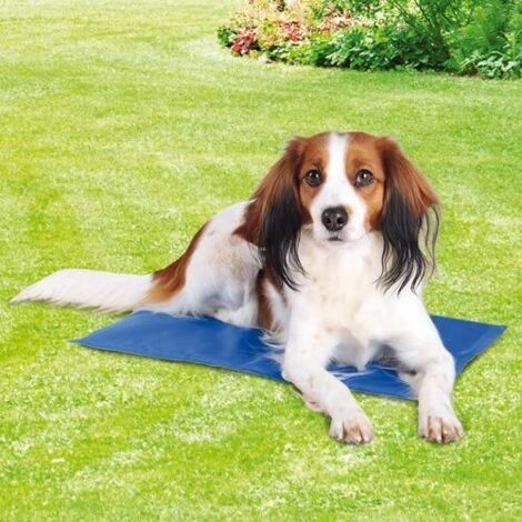 MATELAS RAFRAÎCHISSANT POUR CHIEN BLEU 40 X 50 CM TRIXIE 4011905286853 (1/5)