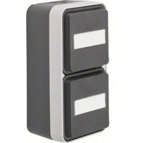 PRISE ÉLECTRIQUE DOUBLE BERKER 47703535 W.1 EN SAILLIE GRIS, GRIS CLAIR (1/2)