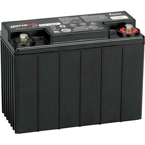 enersys Genesis 12EP13 batterie plomb noir 13 Ah (1/4)