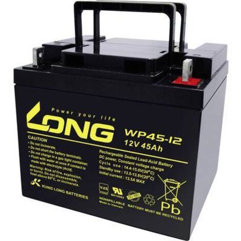 Long WP45-12 WP45-12 Batterie au plomb 12 V 45 Ah plomb (AGM) (l x H x P) 199 x 171 x 166 mm raccord à vis M6 certification VdS, auto-décharge rédu Y860072 (1/2)