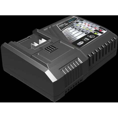 Dedra DED7039 Chargeur batterie rapide 20V 5A (1/4)