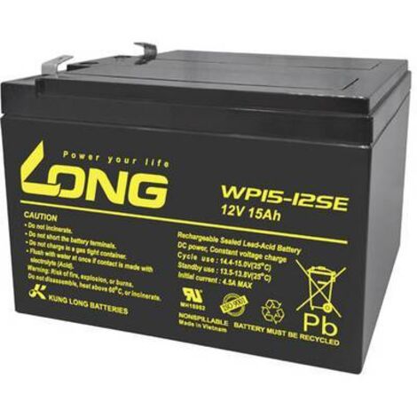 Long WP15-12SE Batterie au plomb noire 12V 15Ah (1/2)