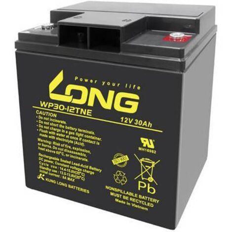 Long WP30-12TNE batterie plomb noir 30 Ah 12 V (1/2)