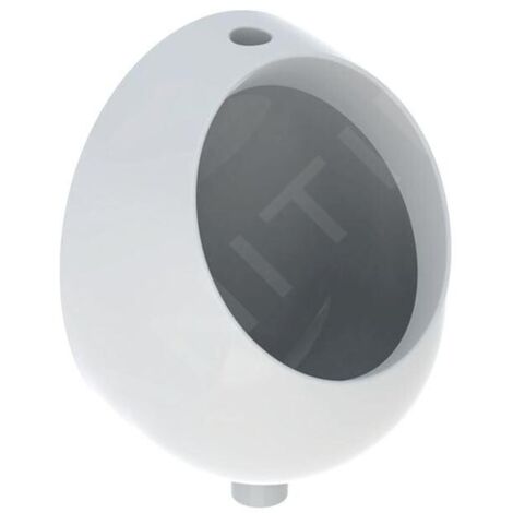 Geberit Selnova - Urinoir, arrivée d'eau par le haut, blanc 502.790.00.1