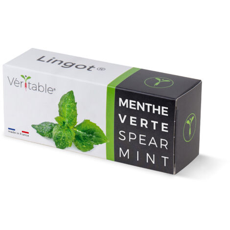 LINGOT MENTHE VERTE (1/5)