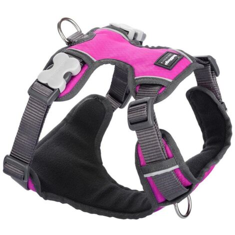 Harnais chien Red Dingo rembourré Rose Taille : T1