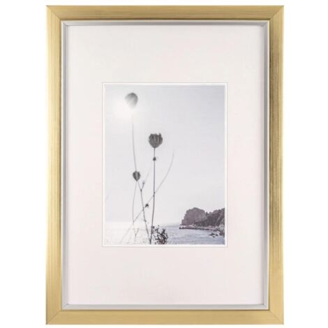 walther design Beyond JI342C Cadre photo de 29,7 x 42 cm, format DIN A3, champagne-doré (1/2)