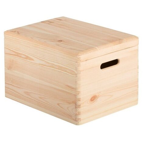 Caisse Rangement Pin Avec Couvercle 40x30x23cm Ref Cbt403023 Astigarraga