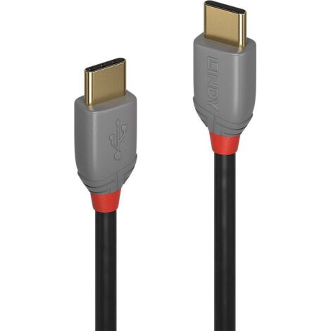 Câble USB 2.0 Type C mâle 2.00 m – Débit 480 Mbits/s – Connecteurs plaqués or 24 carats – Pour installations AV et IT – Lindy