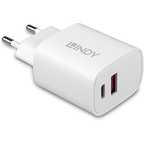 Lindy 73413 charger Universal Universal White Current Alternate Fast Charging Indoor (1/5)