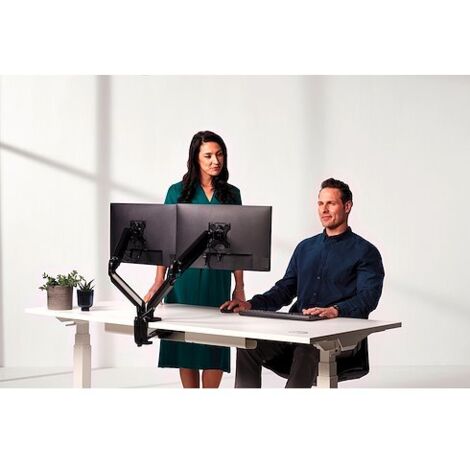 Fellowes Platinum Series Bras porte-écrans double (1/5)