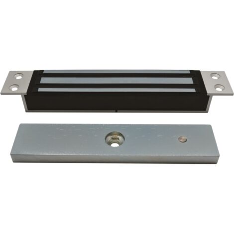 Dispositif de verrouillage électromagnétique Izyx gris 300 kg intégré (1/2)