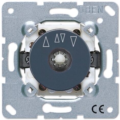 Commutateur rotatif jung métallique compact 250V 10A (1/2)