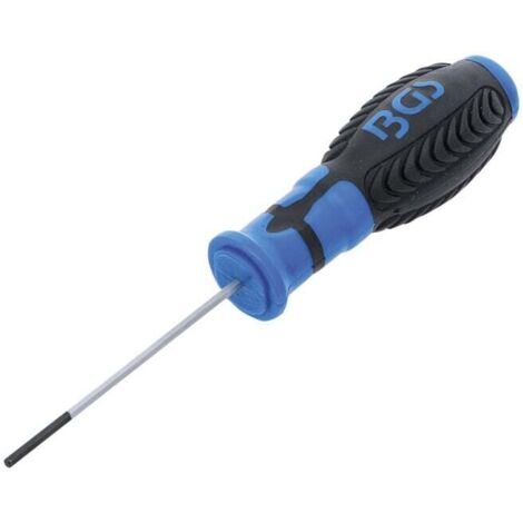 BGS Tournevis six pans intérieurs 2,5 mm longueur de la lame 75 mm (1/3)