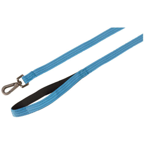Laisse jannu bleu 1 mètre x 25 mm  pour chien - Flamingo (1/5)