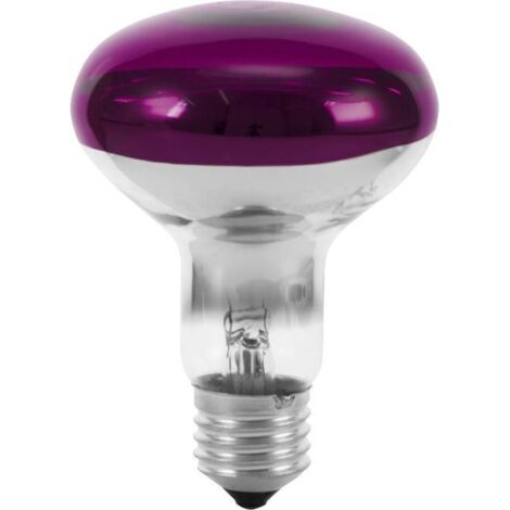 Ampoule halogène E27 60W violet – Réflecteur R80 230V – Dimensions Ø80mm x L110mm – 1 pièce – Omnilux (1/5)