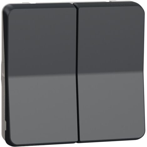Double bouton poussoir Mureva Styl - composable - IP55 - IK07 - gris - Schneider Electric - MUR35326