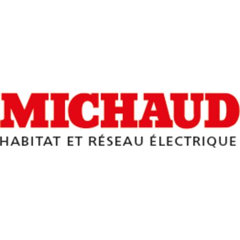 Séparateur pour goulotte GTL de longueur 2 m MICHAUD Q395 (1/3)