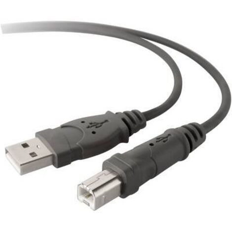 Belkin Câble USB USB 2.0 USB-A mâle, USB-B mâle 3.00 m gris F3U133b10 X858321 (1/2)