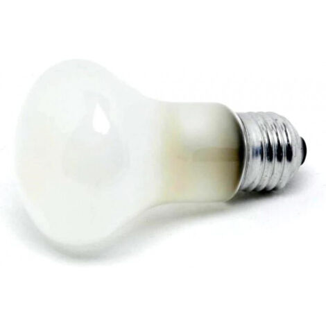Elinchrom EL23002 - Remplacement d'une ampoule de lampe pilote - 100 W (1/2)