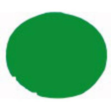 Touche pour bouton poussoir Eaton M22-XDL-G 216443 vert 1 pc(s) X995151 (1/2)