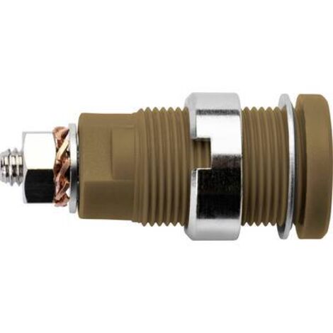 Schützinger DI SEB 6445 Ni / BR Prise encastrée de sécurité marron 1 pc(s) Y156882 (1/2)