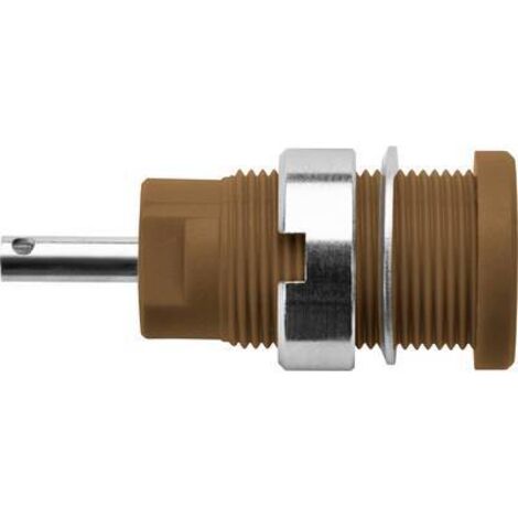 Schützinger DI SEB 6525 Ni / BR Prise encastrée de sécurité marron 1 pc(s) Y150722 (1/2)