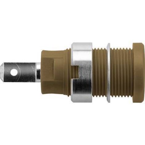 Schützinger DI SEB 6450 Ni / BR Prise encastrée de sécurité marron 1 pc(s) Y156682 (1/2)