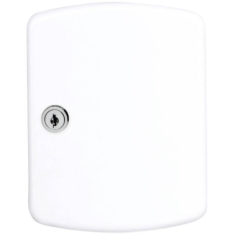 Boîte à clés H202xL157xP75 mm tôle d'acier blanc - Nombre de crochets 15 (1/5)