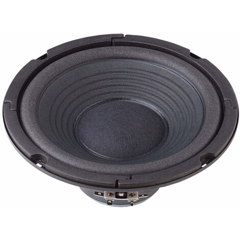 Boomer Visaton W 200